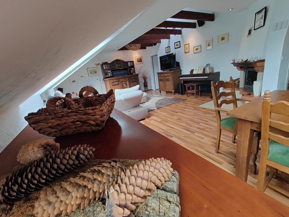 Komfort Ferienwohnung Biene Saarbrücken Dış mekan fotoğraf