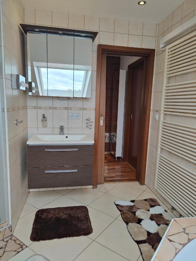 Komfort Ferienwohnung Biene Saarbrücken Dış mekan fotoğraf